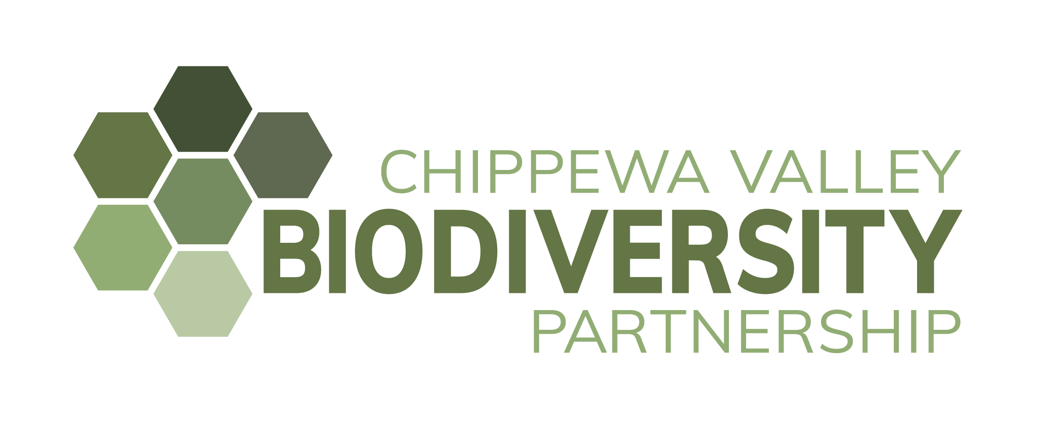 CVBP_Main Logo_Fnl_transparent